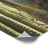 ツーソン砂漠のポスター ポスター (角)