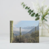 ツーソン砂漠はがき ポストカード (スタンド正面)