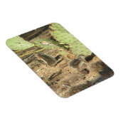 ツーソン磁石の砂漠リス マグネット (右側)