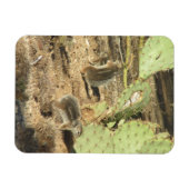 ツーソン磁石の砂漠リス マグネット (横)