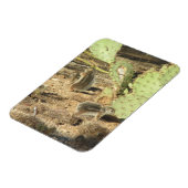 ツーソン磁石の砂漠リス マグネット (左側)