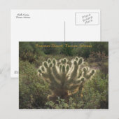 ツーソン・アリゾナ ポストカード (正面/裏面)