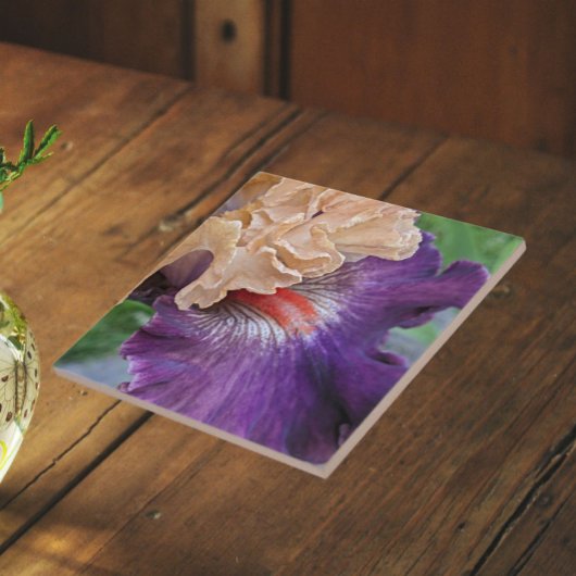 ツートンカラーのアフロン+ヒゲアイリス開花フラワー タイル