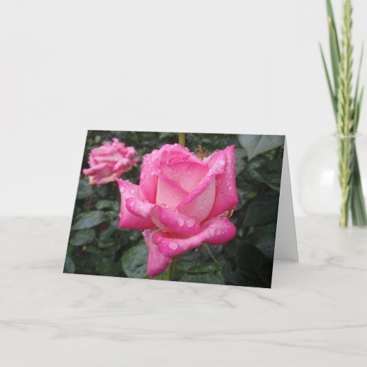 ツートーンピンクのバラ カード (正面)