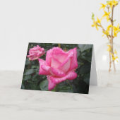 ツートーンピンクのバラ カード (黄色い花)