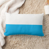 ツートーン腰枕 ランバークッション (ブランケット)