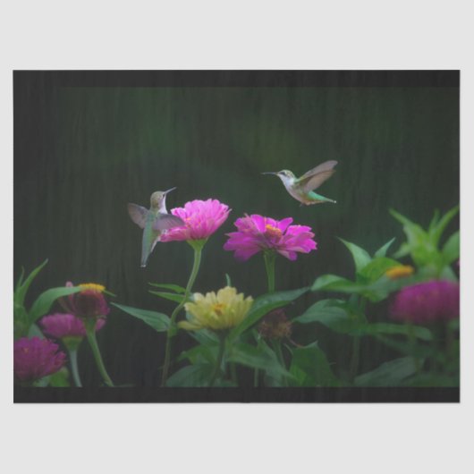 ツーハミングバードティッシュペーパー 薄葉紙 (正面)