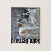 ツービューティフルサンベルナルズ ジグソーパズル (縦)