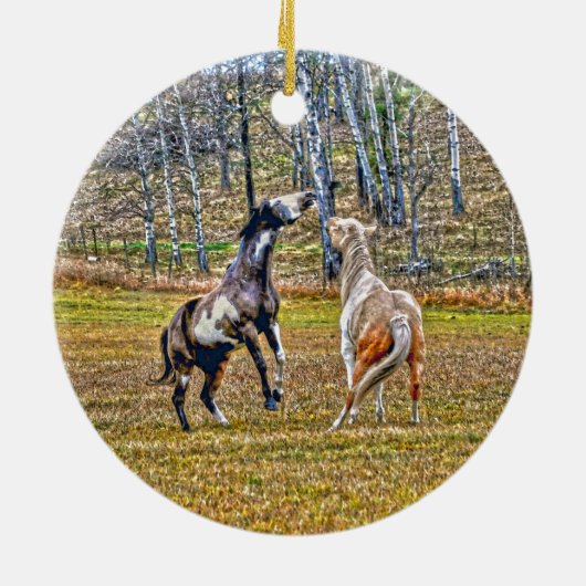 ツーピントよくはしゃぐウマ絵を描ーズウマ科のアートデザイン セラミックオーナメント (裏面)
