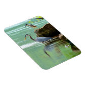 ツーヘロンズバイザリバー マグネット (右側)