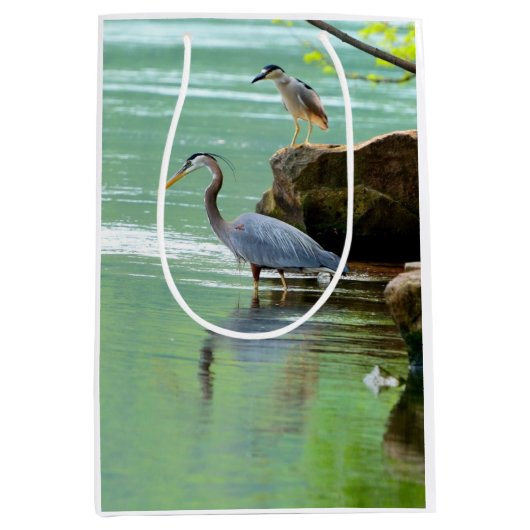 ツーヘロンズバイザリバー ミディアムペーパーバッグ (正面)