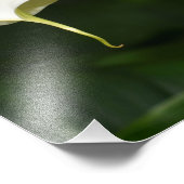 ツーホワイトカラリリーフローラ フォトプリント (角)