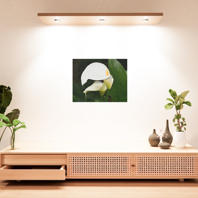 ツーホワイトカラリリーフローラ メタルプリント (In Situ)