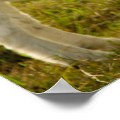 ツーボーヤギかわいい ポスター (角)