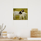 ツーボーヤギかわいい ポスター (キッチン)