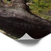 ツーミーティング通りイン、チャールストンSC ポスター (角)