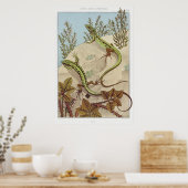 ツーリザードヴィンテージイラストレーションアート ポスター (キッチン)