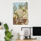 ツーリザードヴィンテージイラストレーションアート ポスター (ホームオフィス)