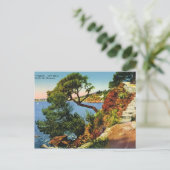 ツーロン、キャップブラン、1924 ポストカード (スタンド正面)