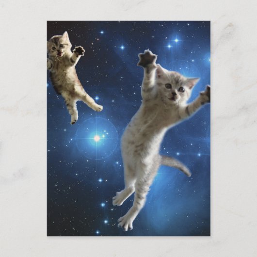 ツー宇宙キャッツフローティングのまわりに銀河系 ポストカード (正面)