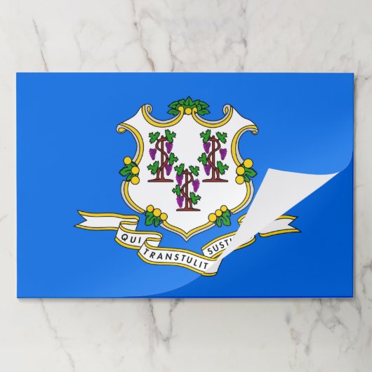 ティアウェイ紙パッドとコネチカット州旗 ペーパーパッド (折り畳み)