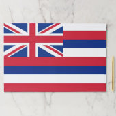 ティアウェイ紙パッドとハワイ州旗州(米国) ペーパーパッド (インサイチュ)