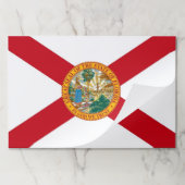 ティアウェイ紙パッドとフロリダ州旗 ペーパーパッド (折り畳み)