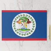 ティアウェイ紙パッドとベリーズ国旗 ペーパーパッド (インサイチュ)