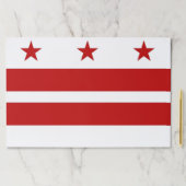 ティアウェイ紙パッドとワシントンDC州旗 ペーパーパッド (インサイチュ)