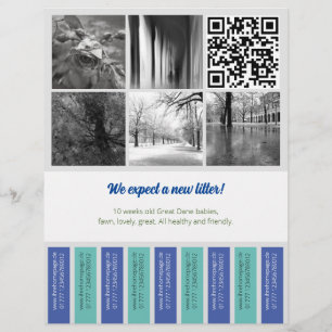 ティアオフフライヤーパピー青い緑を販売 チラシ