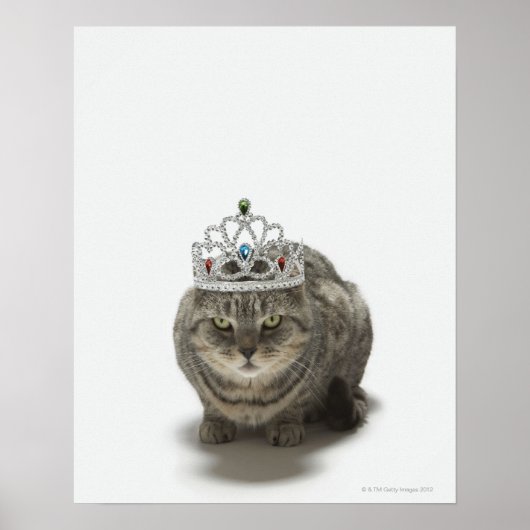 ティアラをかぶった猫 ポスター (正面)