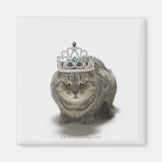 ティアラを着た猫 マグネット (正面)