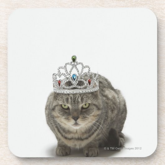 ティアラを身に着けている猫 コースター (正面)