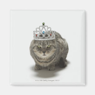 ティアラを身に着けている猫 マグネット