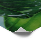 ティアレタヒチ ポスター (角)