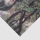 ティアーズインストリームオアシスバイシャンハイ中国ガール 薄葉紙 (詳細)