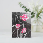 ティア・ドロップ・ローズ - デザイン2 (スタンド正面)