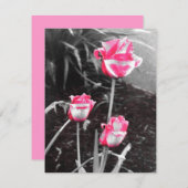 ティア・ドロップ・ローズ - デザイン2 (正面/裏面)