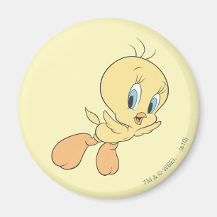 ティウィー™ クラウズ ポーズ 15 マグネット