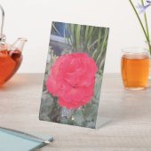 ティエプホアホン 台座サイン (インサイチュ)