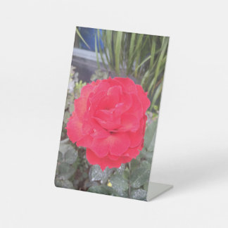 ティエプホアホン 台座サイン