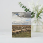 ティエラデルフエゴアルゼンチンの羊 ポストカード (スタンド正面)