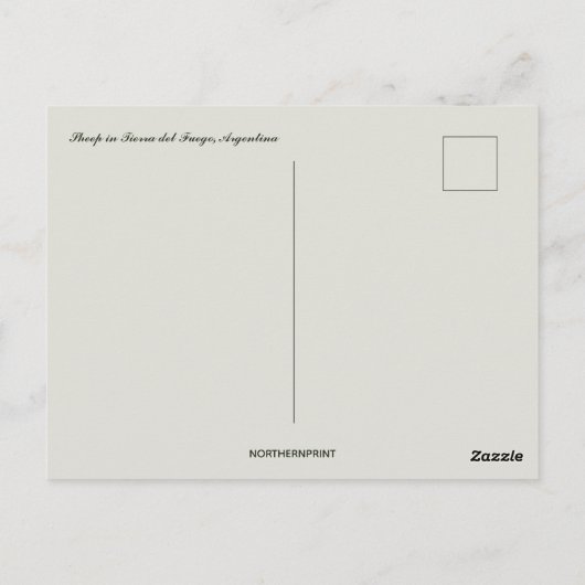 ティエラデルフエゴアルゼンチンの羊 ポストカード (裏面)