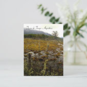 ティエラデルフエゴ – アルゼンチン ポストカード (スタンド正面)