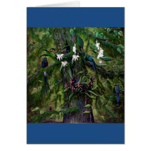 ティカルのジャングル