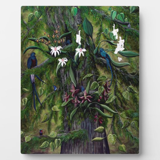 ティカルのジャングル フォトプラーク (正面)