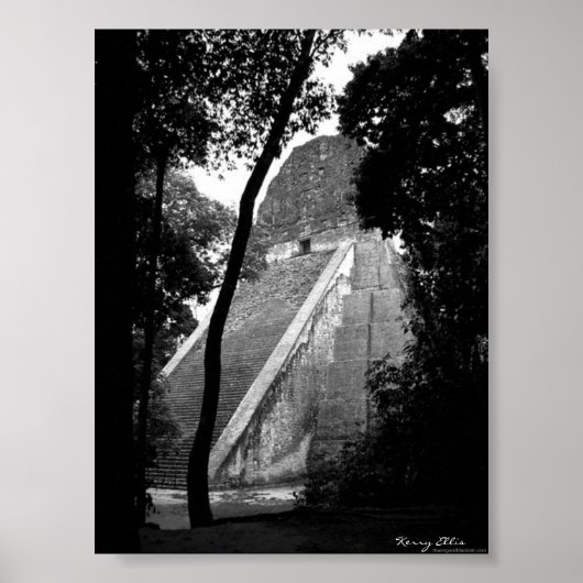 ティカル ポスター (正面)