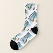 ティクタアリク・ロサアの中の過渡化石 ソックス (左外側)