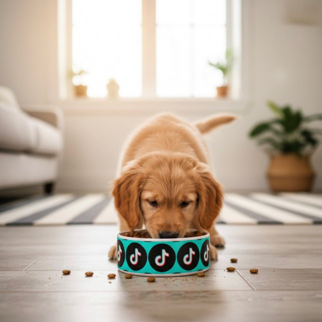ティクトックボウル ボウル (クリエイターアップロード済み)