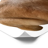 ティクボイファットイエローおもしろいラブラドールレトリバー ポスター (角)